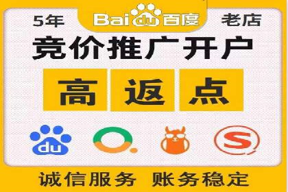 百度品牌专区推广：打造品牌形象的新途径